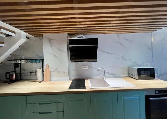 Dennys Center Duplex Apartament Tirana